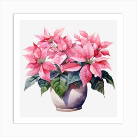 Poinsettia In A Pot 3 Art Print