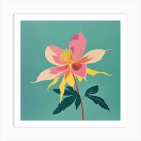 Columbine 1 Square Flower Illustration Art Print