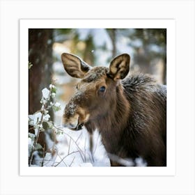 Firefly Whimsical Baby Moose In A Festive Winter Forest 93695 (2) Art Print