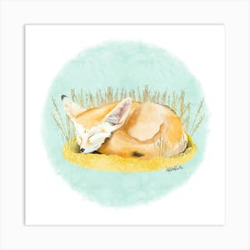 Fox/Fennec Art Print