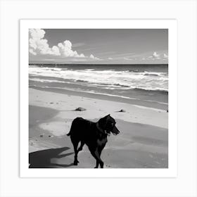 Dog On The Beach Art Print