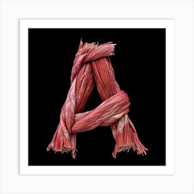 Letter A 11 Art Print