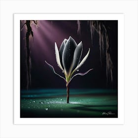 Lily Of The Valley Art Print