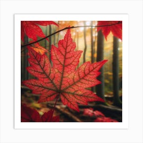 A red maple leaf 5 Art Print