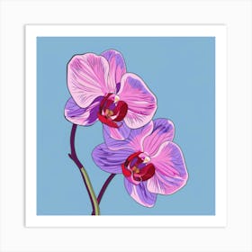 Orchids 13 Art Print