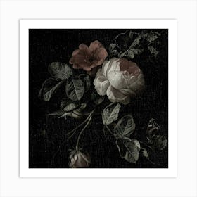 Roses On A Black Background Art Print