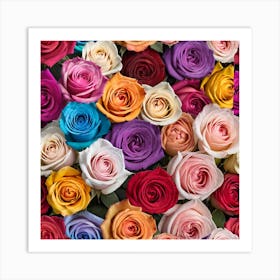 Colorful Roses Art Print