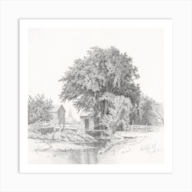 Tree By A Stream SKetch Art Print