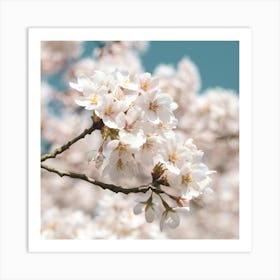 Soft cherry blossom in spring - white flowers - nature and travel photography by Christa Stroo Art Print