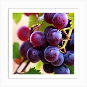 Grapes On The Vine 11 Art Print