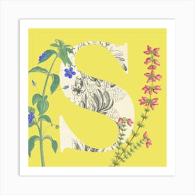 Botanical S Art Print