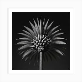 Palm Tree Art Print