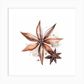 Anise Flower Art Print