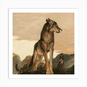 Wolf In The Mountains Art Print