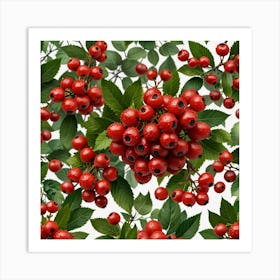 Red Berries On A Branch 1 Art Print