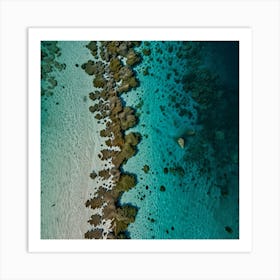 Great Barrier Reef 2 Art Print