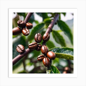 Coffee Beans On A Tree 42 Art Print