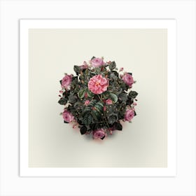 Vintage Pink Wild Rose Flower Wreath on Ivory White n.0107 Art Print