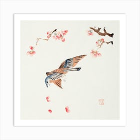 Hawk And Cherry Blossoms Art Print