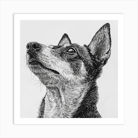 Canaan Dog Line Sketch 3 Art Print