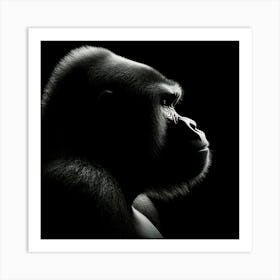 Portrait Of A Gorilla Art Print