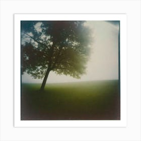 Tree fog Art Print