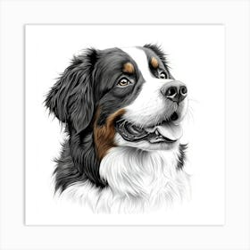 Bernese Mountain Dog Art Print