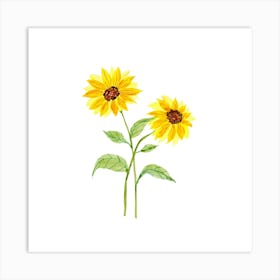 Sunflowers Art Print