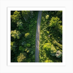 Aerial View Of A Forest Road 1 Art Print