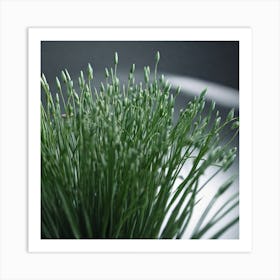 Grass 4 Art Print