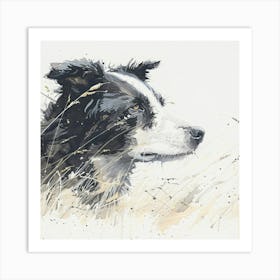 Border Collie Art Print