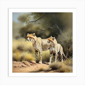 Cheetahs in Nature Art Print