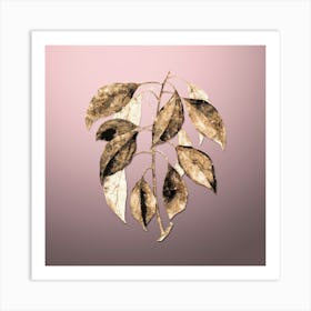 Gold Botanical Camphor Tree on Rose Quartz n.2649 Art Print