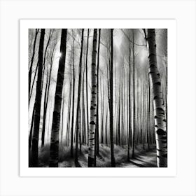 Birch Forest 38 Art Print