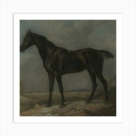 Black Horse Art Print