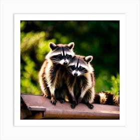 Raccoons 3 Art Print