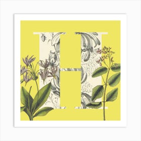 Botanical H Art Print