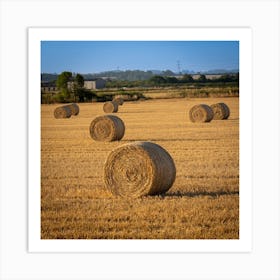 Hay Bales In A Field Art Print