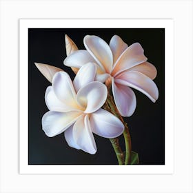 Floral Art 0014 Single Flowers 0014 Floral Bot 0036 Bp6586 Imagine An Frangipani Flowers Boquet In Its Closed Sta Fa7d6d Art Print