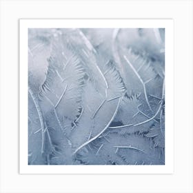 Frosted Feathers Art Print