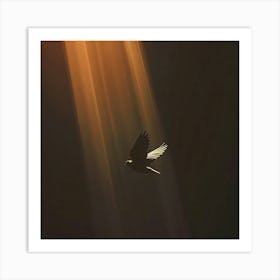 Bird In Flight Art Print