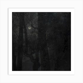 Moonlight In The Forest Art Print