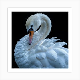 White Swan Beak Art Print