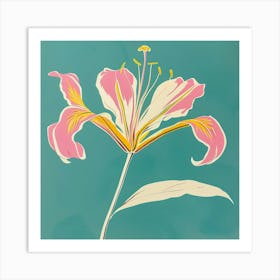 Gloriosa Lily 1 Square Flower Illustration Art Print