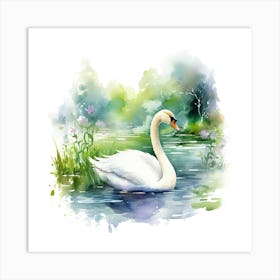 Swan In Water 4 Art Print