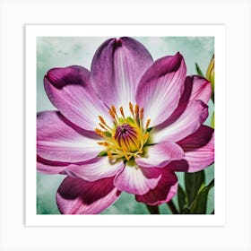 Purple Dahlia Art Print