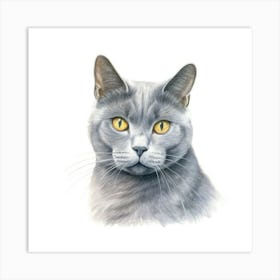 Chartreux Cat Portrait Art Print