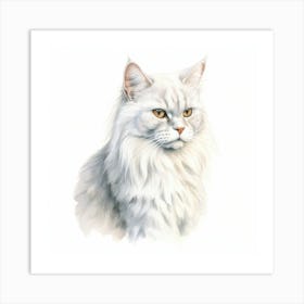 Burmilla Longhair Cat Portrait 2 Art Print