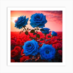 Blue Roses At Sunset Art Print