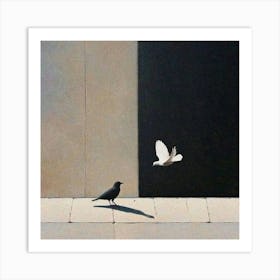 Dove And Blackbird Art Print